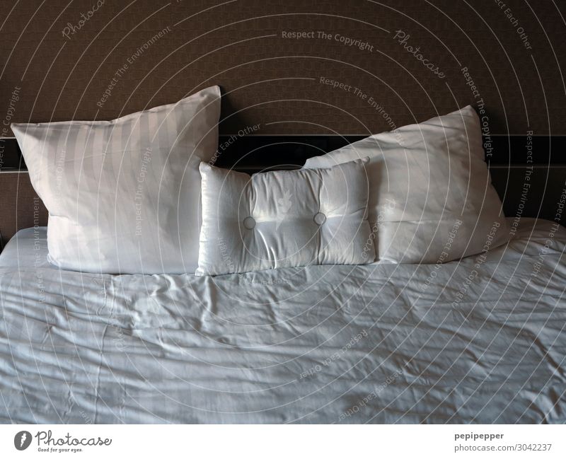 The Morning after Lifestyle Leisure and hobbies Living or residing Flat (apartment) Bed Hotel room Cushion Soft Subdued colour Interior shot Deserted