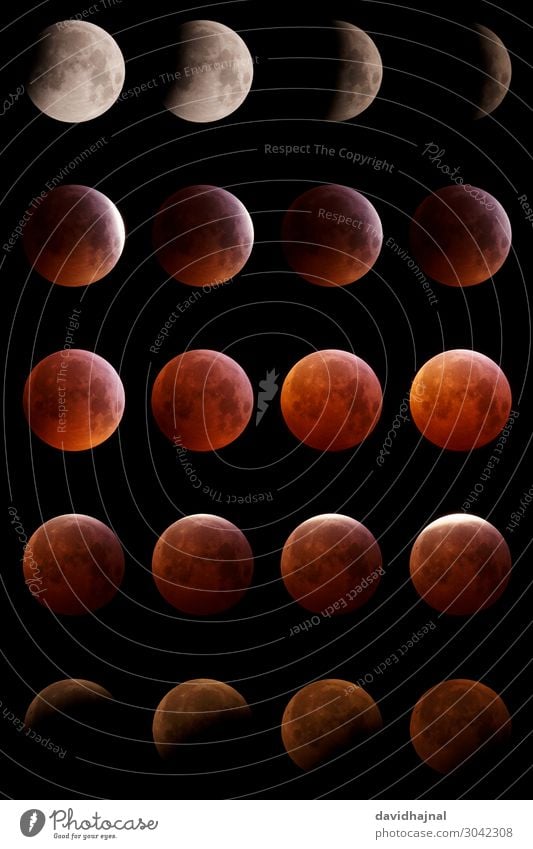 Collage Lunar Eclipse 21 January 2019 Adventure Technology Science & Research Advancement Future Astronautics Astronomy Telescope Art Environment Nature Sky