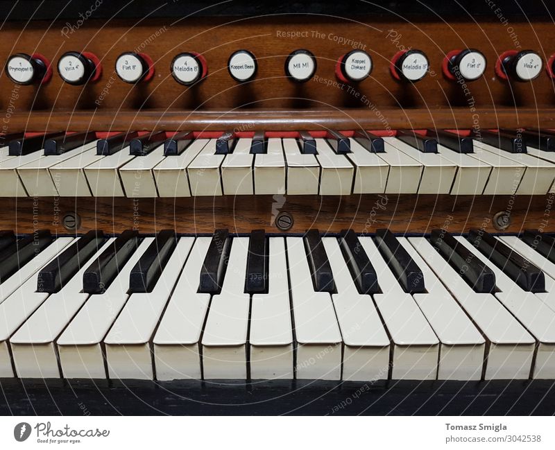 Old vintage harmonium, pipe organ keyboard close-up, frontal Leisure and hobbies Music Art Concert Musician Church Wood Retro Religion and faith Cathedral