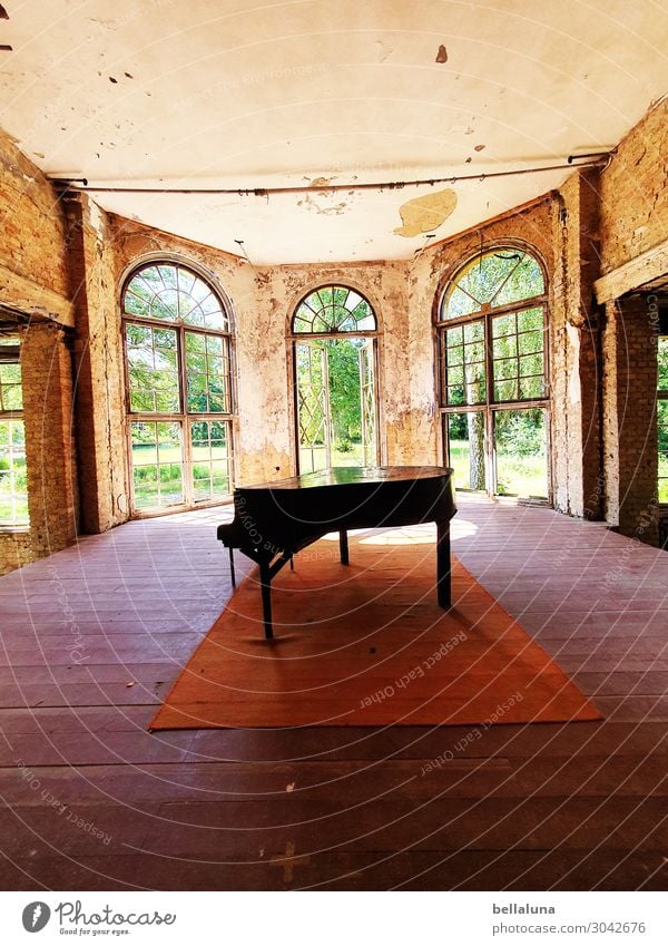 grand Art Work of art Architecture Stage Culture Music Concert Piano House (Residential Structure) Ruin Building Wall (barrier) Wall (building) Window Door
