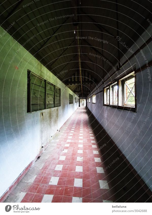 endless Style House (Residential Structure) Redecorate Deserted Ruin Wall (barrier) Wall (building) Window Door Old Dirty Bright Brown Black White Corridor