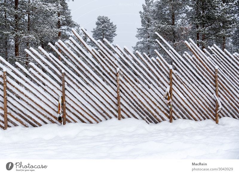 snow-covered fence Nature Landscape Winter Weather Ice Frost Snow Park Forest Fence Wooden fence Safety Protection Cold Snowfall Diagonal Wooden wall Deserted