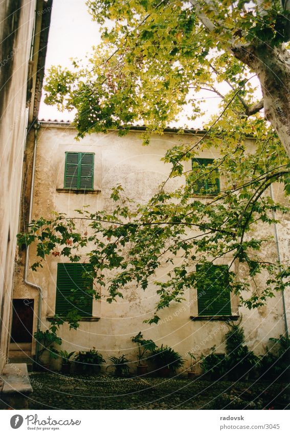 Jardin de Alfabia, Mallorca House (Residential Structure) Tree Garden Old Farm Mediterranean