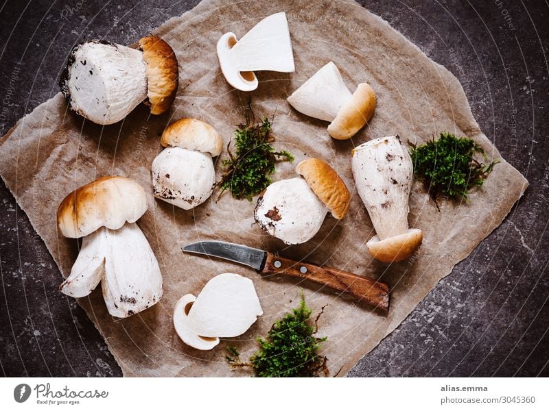 Tasty porcini mushrooms in autumn - mushroom season Boletus Boletaceae Mushroom picker Nature Forest Collection Accumulate Summer To enjoy Healthy Eating Dish