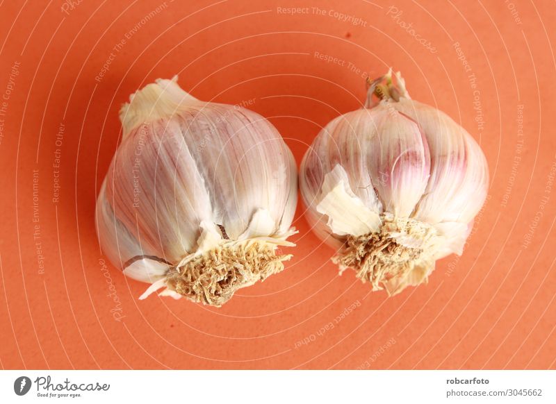 head of garlic in colorful background Vegetable Herbs and spices Nutrition Vegetarian diet Nature Plant Fresh Natural Red White Garlic bulb isolated Onion Raw