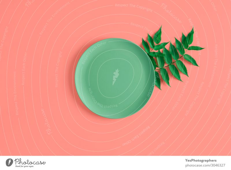 Empty plate and green leaves on a coral background Plate Healthy Eating Decoration Table Kitchen Restaurant Leaf Ornament Natural Green Pink above view backdrop