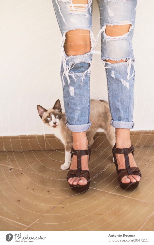 torn cat Lifestyle Style Woman Adults Animal Fashion Clothing Pants Jeans High heels Pet Cat Stand Eroticism Cute Torn torn jeans Earth hole broken attractive