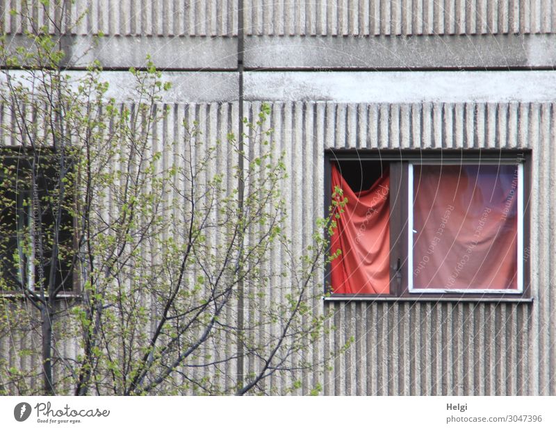 Facade of an old building with open window and red curtain Environment Plant Bushes Building Wall (barrier) Wall (building) Window To hold on Hang