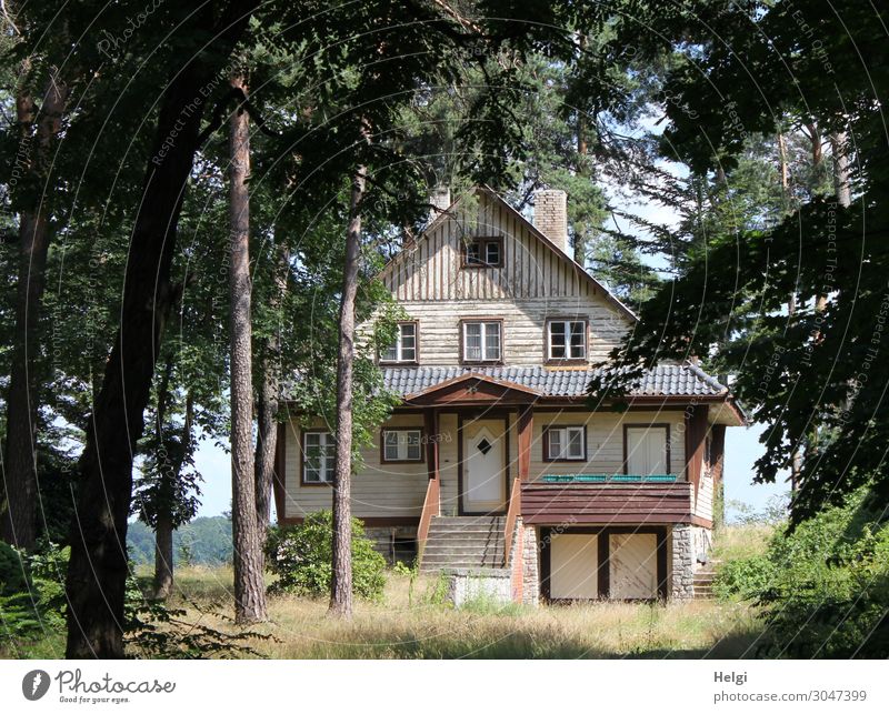 lonely enchanted old house stands between high trees Environment Nature Landscape Plant Summer Beautiful weather Tree Grass Bushes House (Residential Structure)