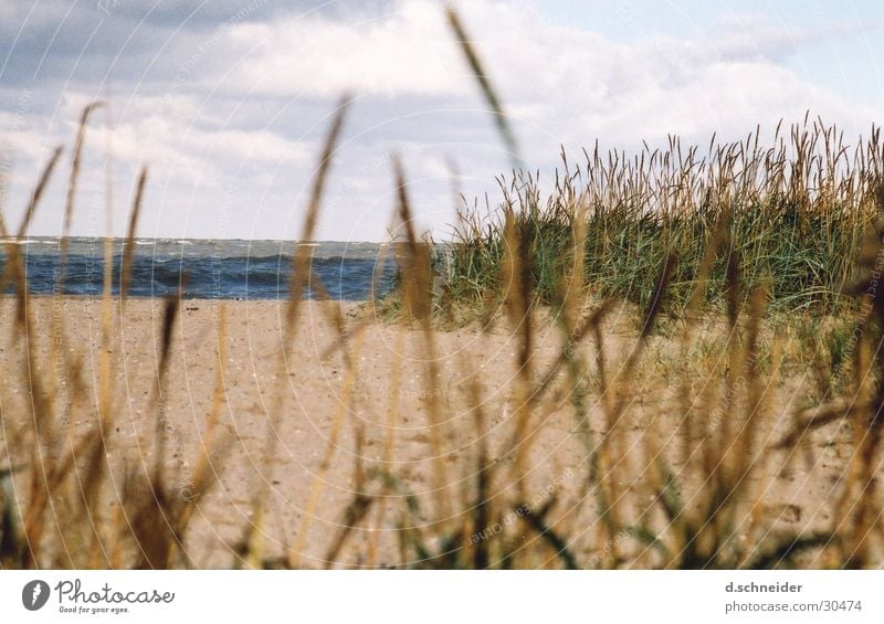 Like the land, like the ... Ocean Beach Coast Dune Beach dune North Sea Wind Water Sand Clouds Sky Waves Far-off places Grass Baltic Sea