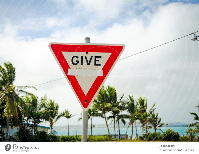 Give way, no way Far-off places Clouds Beautiful weather Warmth Exotic Palm tree Pacific Ocean Traffic infrastructure Road sign Safety Expectation Environment