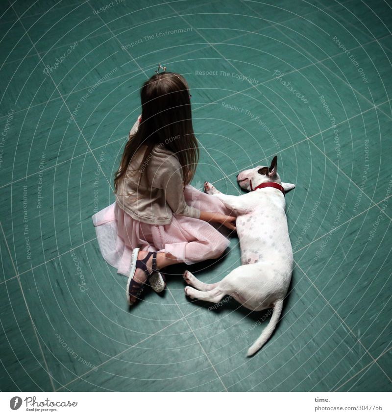 Girl with dog Parquet floor Tile Feminine 1 Human being Dress Jacket Brunette Long-haired Animal Pet Dog bull terrier Terrier Lie Sit Dream Passion Friendship