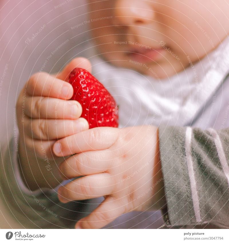 Baby plays with strawberry Lifestyle Healthy Health care Healthy Eating Leisure and hobbies Summer Child Family & Relations Infancy Hand Fingers 0 - 12 months