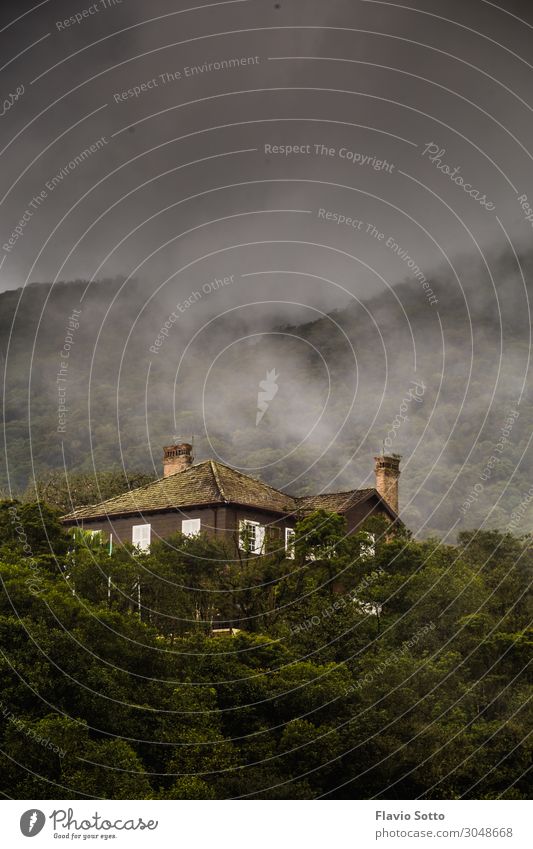 Old house in the hills Vacation & Travel Trip Mountain House (Residential Structure) Environment Nature Landscape Winter Fog Tree Hill Green Colour photo
