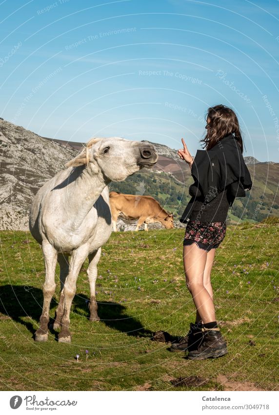 You gotta have a good instinct for dealing with cheeky horses. Trip Mountain Hiking Feminine Young woman Youth (Young adults) 1 Human being Nature Landscape