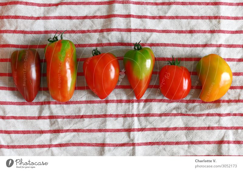 variety Food Vegetable Tomato Nutrition Organic produce Vegetarian diet Diet Italian Food Vitamin salad ingredient Healthy Healthy Eating Stripe Esthetic Simple