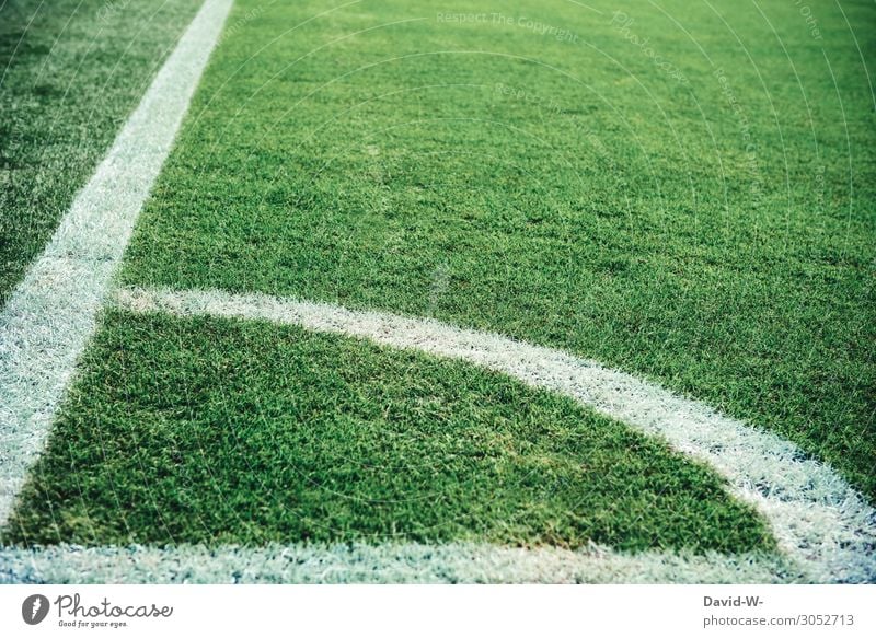 Football pitch green grass and white lines soccer Football stadium Sports Exterior shot Colour photo Stadium Sporting Complex Playing Sporting event