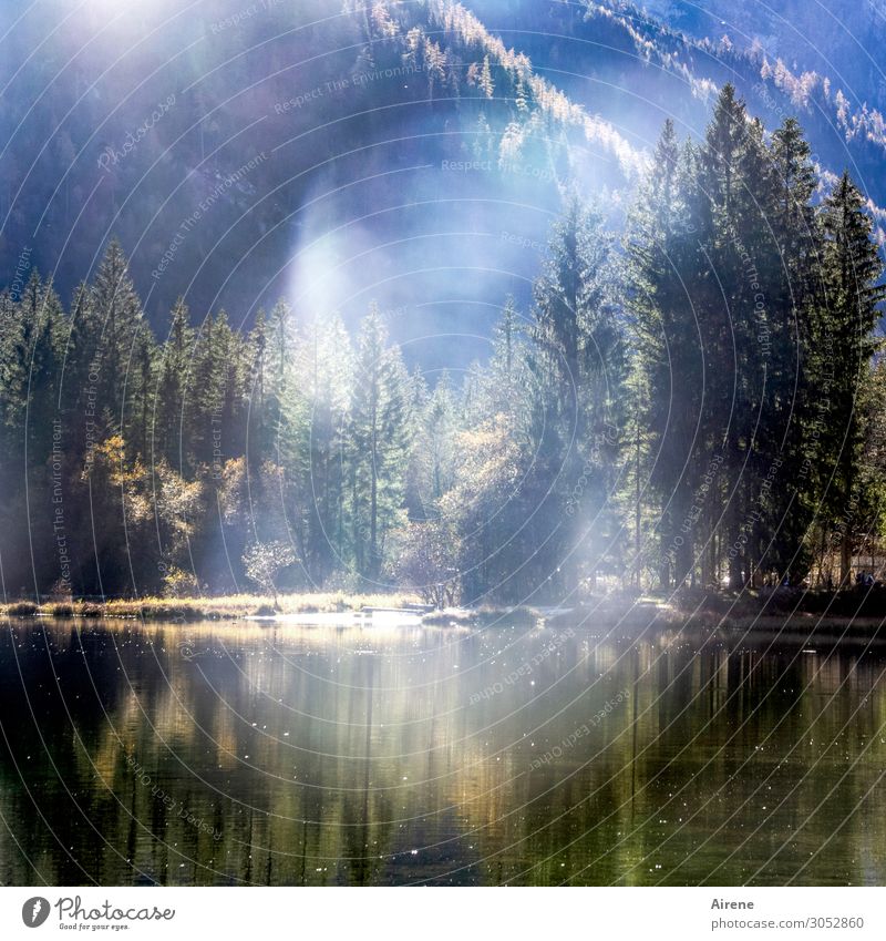 Nebulous apparition at the mountain lake. Landscape Sunlight Autumn Beautiful weather Fog Coniferous trees Forest Alps Pond Lake Mountain lake Mountain forest