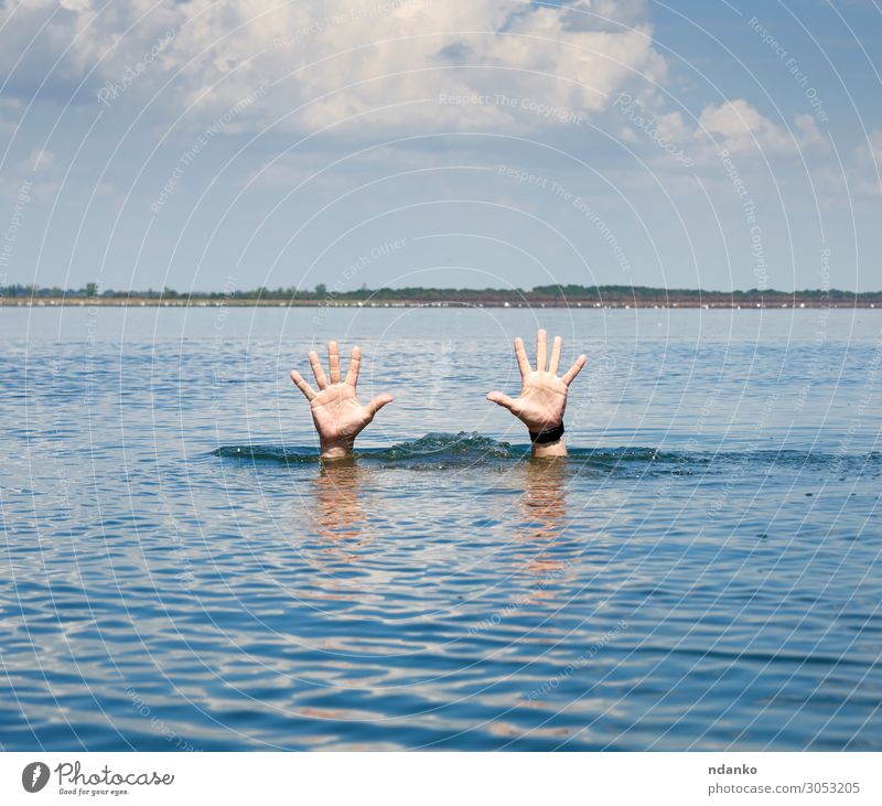pair of masculine hands sticks out of the sea water Summer Ocean Human being Man Adults Arm Hand Fingers 18 - 30 years Youth (Young adults) Nature River