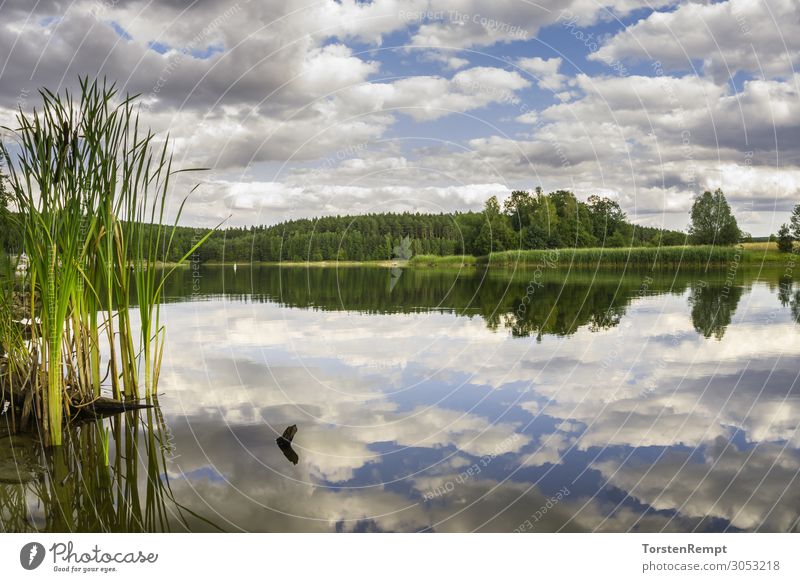 Heyda Reservoir Summer Landscape Water Clouds Lake Blue Green White Highlands Germany Sky Thuringia Thueringer Wald River dam Colour photo Exterior shot Day