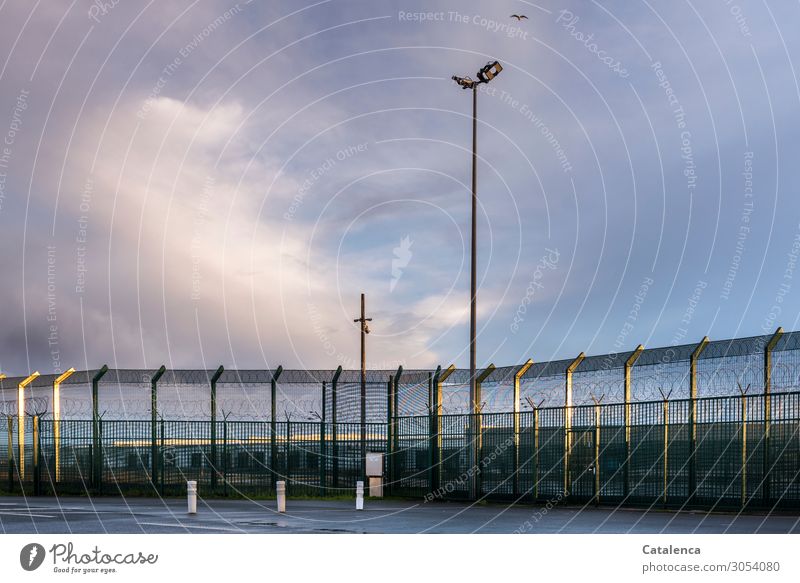 A deserted, well guarded border installation. A seagull flies over it in a cloudy sky Fence Border Floodlights Wire netting Seagull Sky Clouds Bad weather