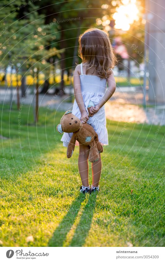 Girl with a bear girl toy sunset park green grass dress summer warm soft beautifull weather