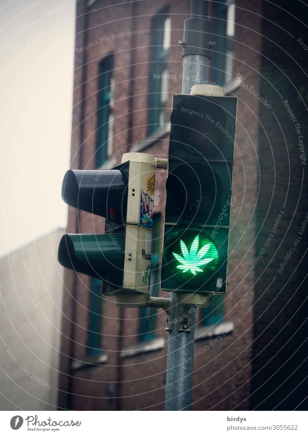legalize it .... Alternative medicine Intoxicant Relaxation Leaf Cannabis leaf Traffic light Sign Road sign Illuminate Authentic Exceptional Cool (slang)