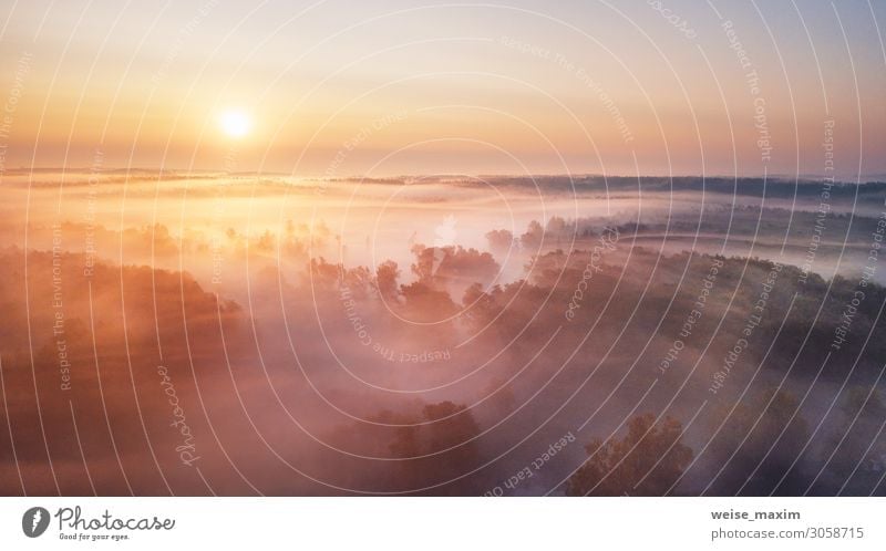 Summer nature landscape aerial panorama. Foggy morning Calm Vacation & Travel Tourism Trip Adventure Far-off places Freedom Summer vacation Environment Nature