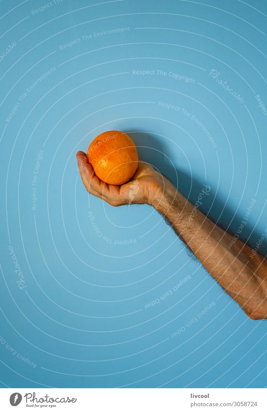 orange in hand on blue wall Fruit Lifestyle Design Human being Man Adults Arm Hand Fingers Nature To enjoy Fresh Blue Colour people Illustration conceptual