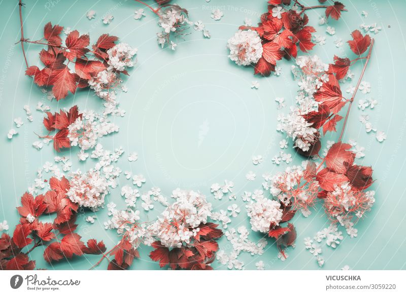 Frame Of White Flowers With Red Leaves A Royalty Free Stock Photo From Photocase