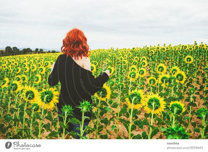 Back view of a redhead young woman in a field of sunflowers Joy Adventure Summer Human being Woman Adults 1 Landscape Autumn Flower Red-haired To enjoy Fresh