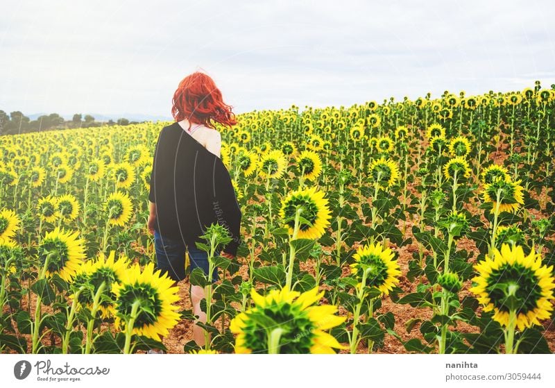 Back view of a redhead young woman in a field of sunflowers Joy Adventure Summer Human being Feminine Woman Adults Landscape Autumn Flower Red-haired To enjoy