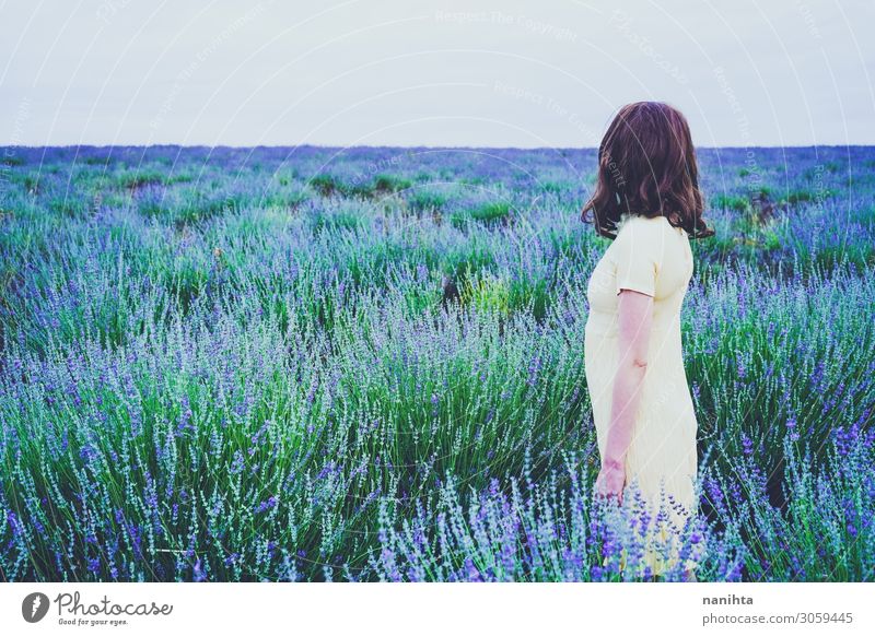 Back view of a young woman in a field of lavender Lifestyle Relaxation Fragrance Adventure Summer Human being Feminine Woman Adults Youth (Young adults) 1