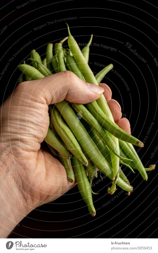 A handful of runner beans Food Vegetable Nutrition Organic produce Vegetarian diet Healthy Eating Man Adults Hand Fingers Work and employment Select Utilize