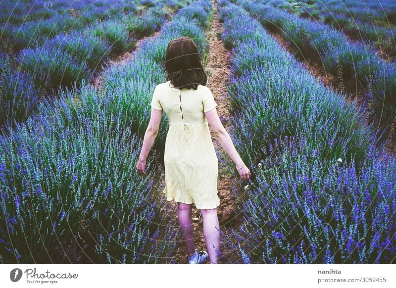 Back view of a young woman in a field of lavender Lifestyle Relaxation Fragrance Adventure Summer Human being Feminine Young woman Youth (Young adults) Woman