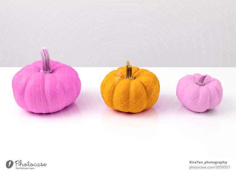 Three colorful pumpkins on white Vegetable Design Exotic Decoration Thanksgiving Hallowe'en Nature Autumn Collection Shopping Lie Threat Kitsch Yellow Violet