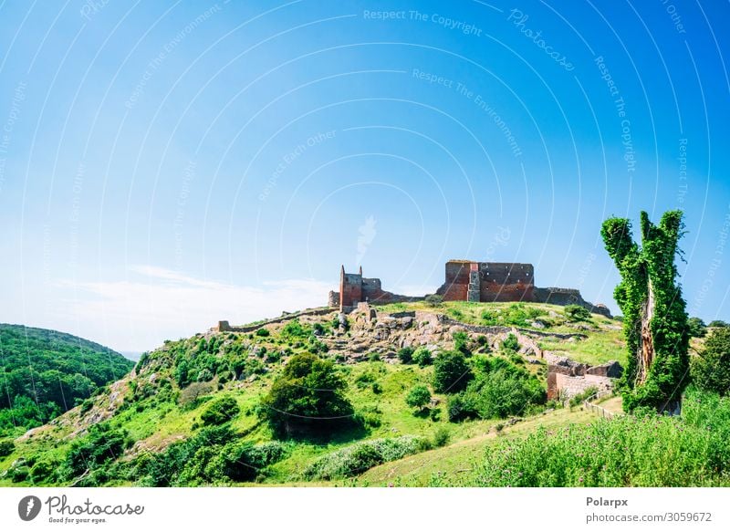 Ancient castle on a green hill with trees Vacation & Travel Tourism Summer Island Mountain Nature Landscape Sky Grass Forest Castle Ruin Building Architecture