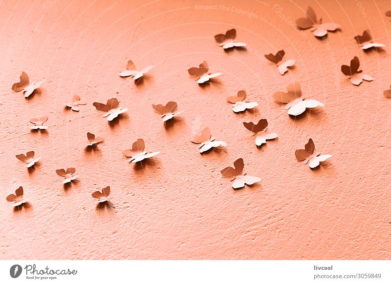 paper butterflies on pink wall Design Group Art Town Paper Flying Cool (slang) Cute Pink pink all performance Street art decor awesome Beauty Photography nice