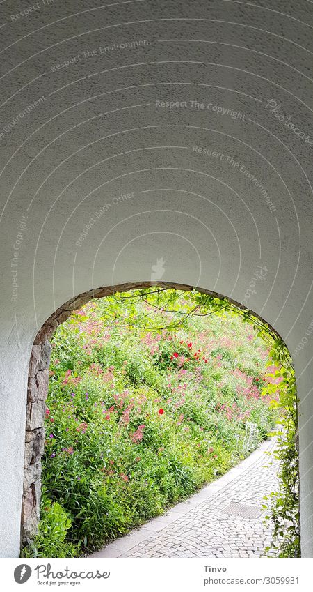 Round arch passage into the green Spring view into the green Lanes & trails wall passage Passage Day Exterior shot Tunnel Corridor Deserted Underpass Garden