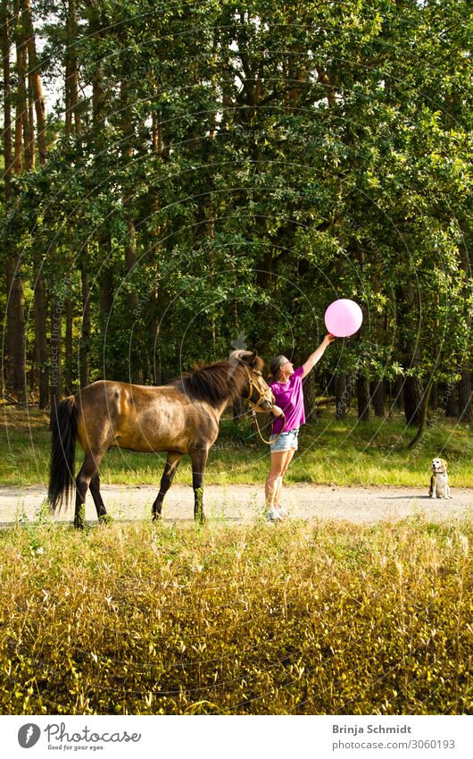 Take off - preferably with a horse Joy Happy Fitness Life Vacation & Travel Trip Freedom Summer Ride Woman Adults 1 Human being 45 - 60 years Nature Landscape