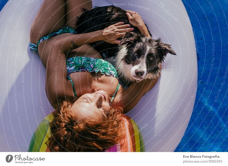 Tricolor Rough Collie, Funny Scottish Collie, Long-haired Collie, English  Collie, Lassie Dog Sitting Outdoors In Summer Day. Portrait - a Royalty  Free Stock Photo from Photocase