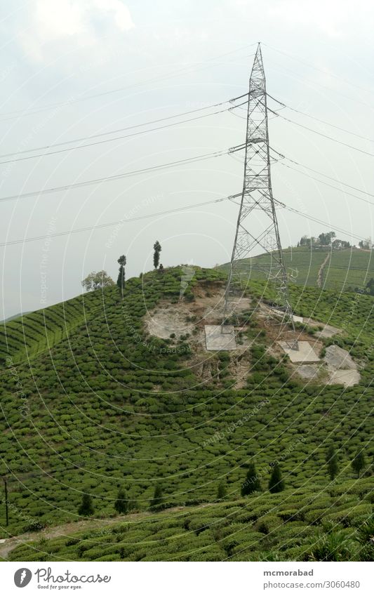 Tower in Tea Garden Mountain Landscape Plant Hill Green tower Electric high tension cables Wire lines tea garden Crops Yield Produce plantation Cultivation