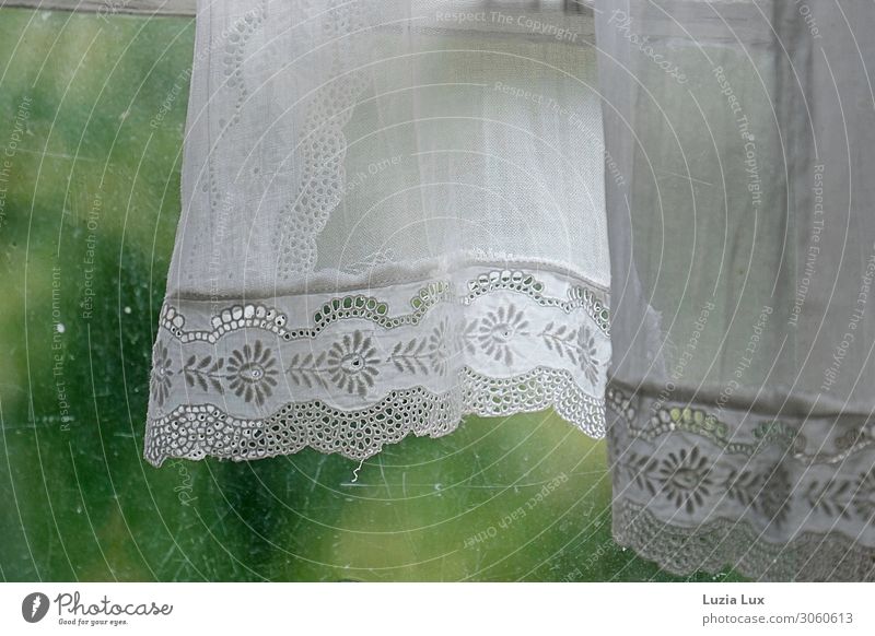 Curtain, old and fine Living or residing Flat (apartment) Interior design Decoration Bedroom Window Lace Village Glass Old Beautiful Green White