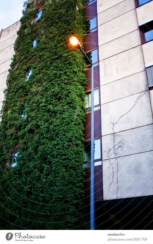 Lantern in the evening House (Residential Structure) Apartment Building Tower block High-rise Living or residing Residential area Prefab construction