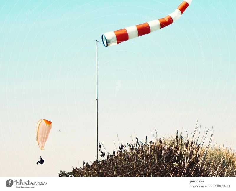 Wow! Lifestyle Joy Leisure and hobbies Nature Landscape Cloudless sky Summer Beautiful weather Wind Gale Warmth North Sea Movement Flying Paragliding Windsock