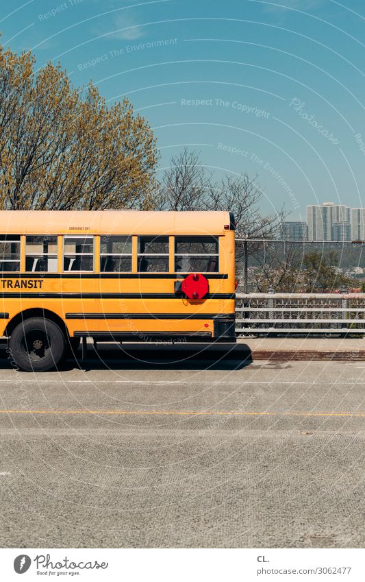 bus Cloudless sky Spring Beautiful weather Tree New York City USA Deserted High-rise Transport Means of transport Traffic infrastructure Public transit