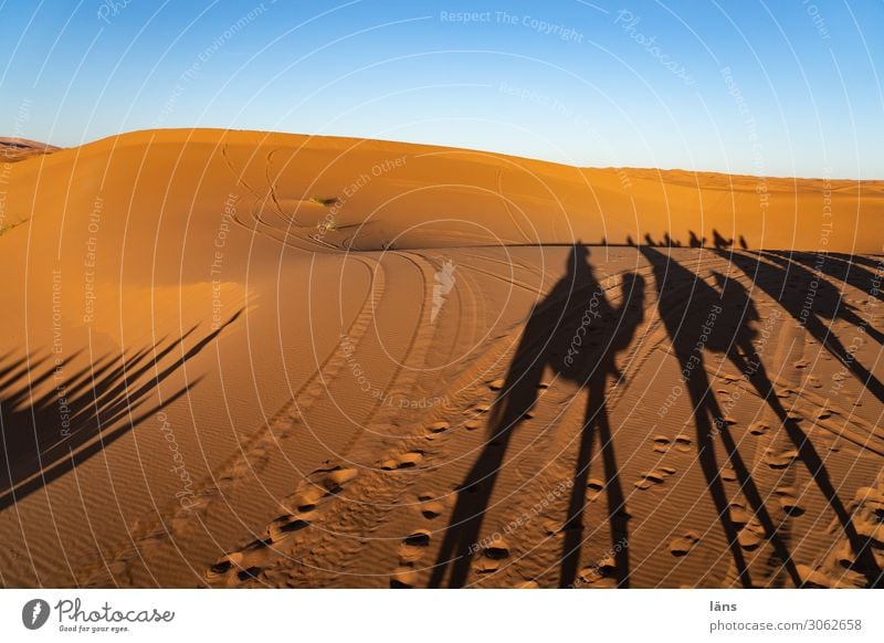 three people walking on a dune under cloudless sky - a Royalty Free Stock  Photo from Photocase