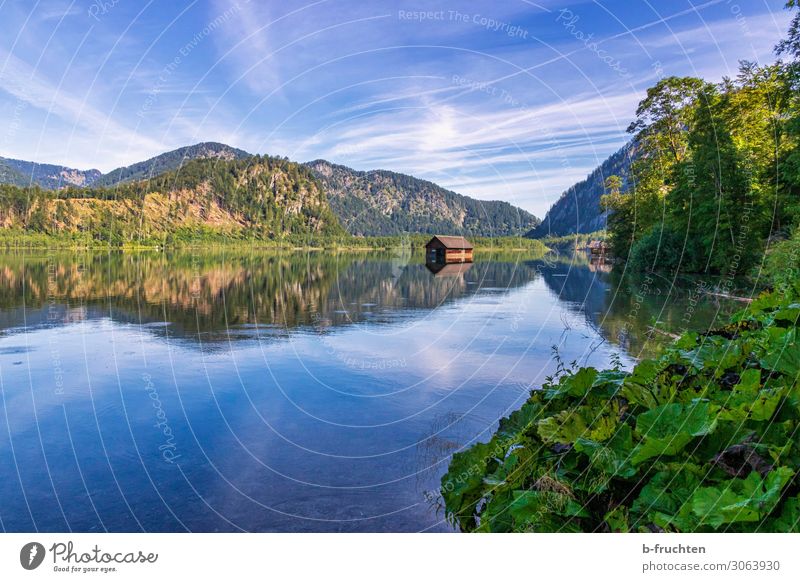 Cottage in the lake Tourism Trip Summer Summer vacation Hiking Nature Landscape Sky Beautiful weather Plant Forest Alps Mountain Lake Free Hope Idyll Calm