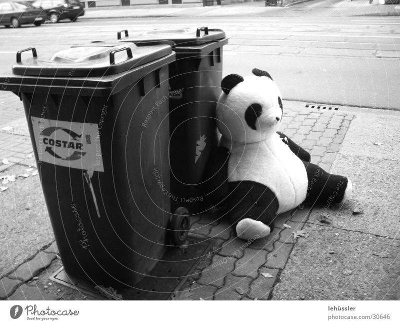 panda takes a break Panda Trash Black White Break Gray scale value Obscure Bear Sit Street Car ... Paving stone