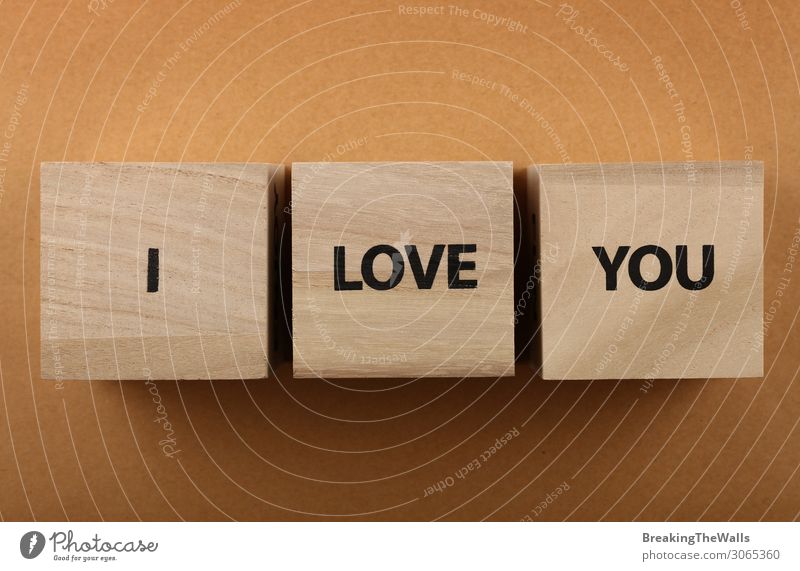 Wooden cubes with I LOVE YOU words over red Design Valentine's Day Paper Sign Characters Signs and labeling Love Together Above Brown Romance Word block